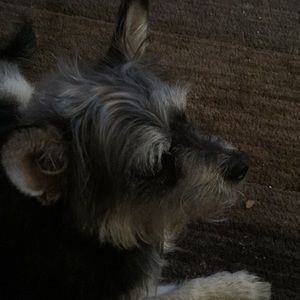 Meet your Posher, Francine